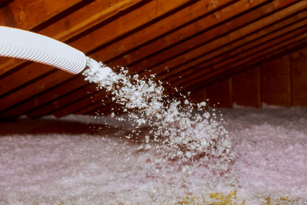 Best Geographic-Specific Insulation Services in , ND
